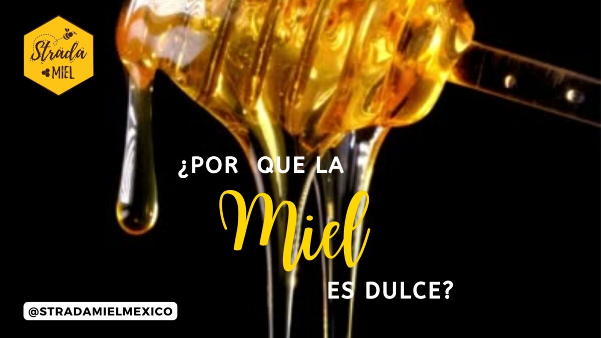 POR QUE LA MIEL ES DULCE 3